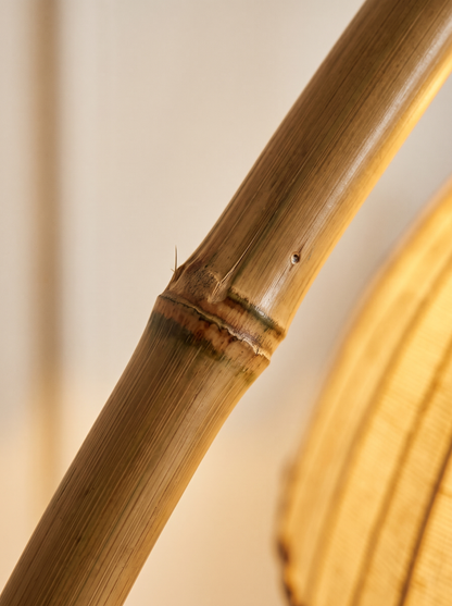 Close-up of the bamboo frame at a node
