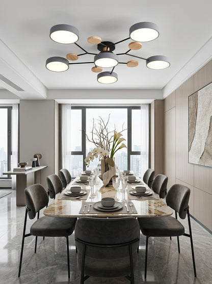 Juno — Modern Multi-Shade LED Chandelier